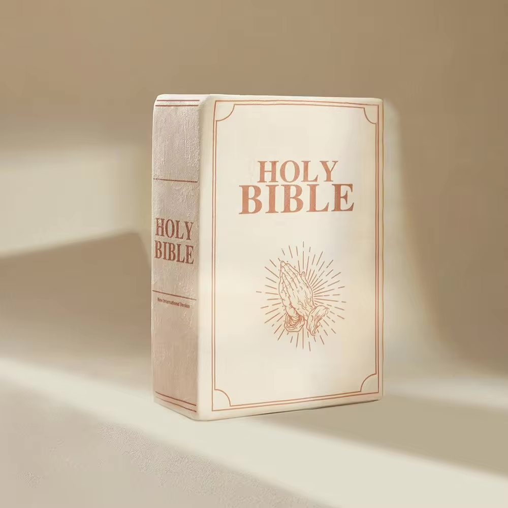 Bible Pillow